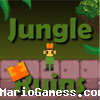 Jungle Ruins