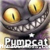 PumpCat