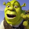 Shrek N Slide